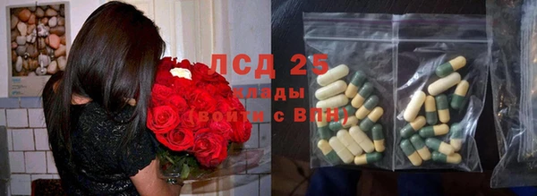 прущие грибы Вяземский