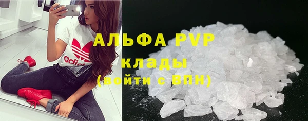 прущие грибы Вяземский
