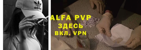 сатива Вязьма
