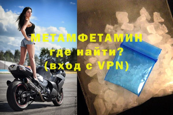 прущие грибы Вяземский