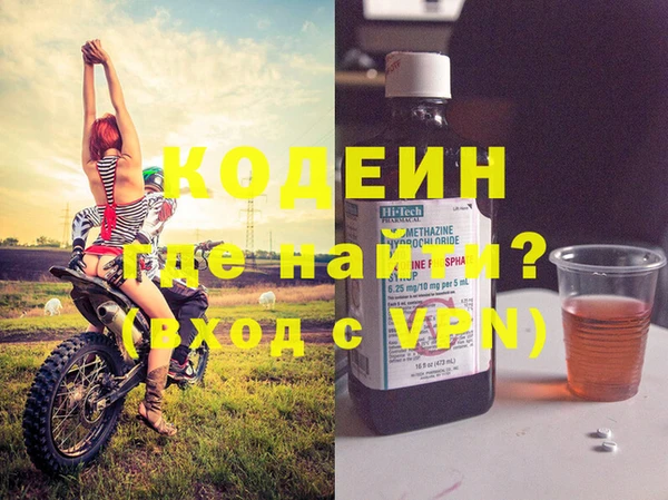 прущие грибы Вяземский