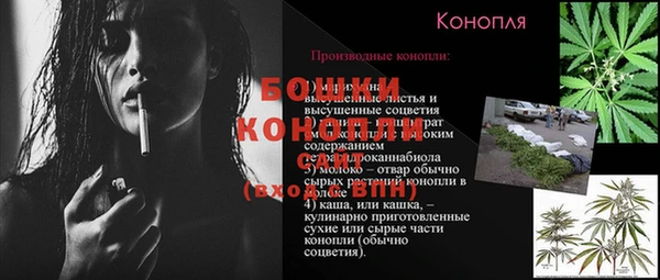 прущие грибы Вяземский