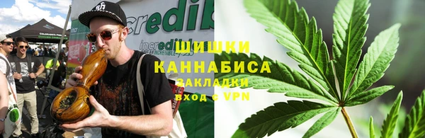 сатива Вязьма