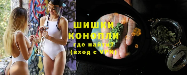 прущие грибы Вяземский