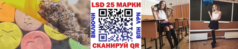 как найти наркотики  shop Telegram  LSD-25 экстази ecstasy  Новороссийск 