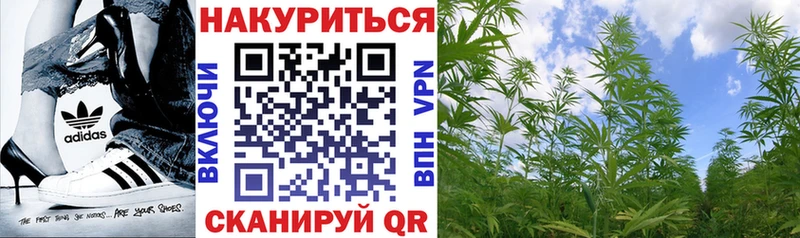 Бошки Шишки семена  Новороссийск 